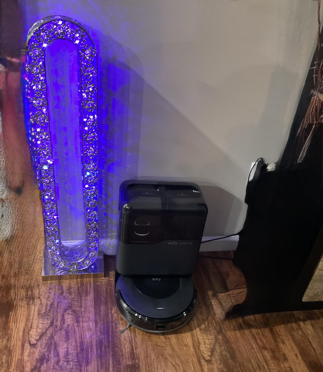 Owner photo of Omni C20 in a living room